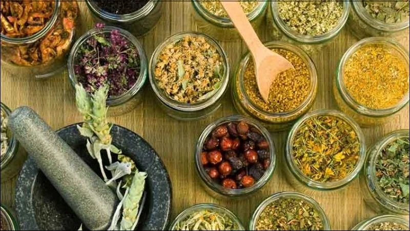 Trà hoa hòe có tác dụng gì? 10 công dụng của hoa hòe với helloo88
