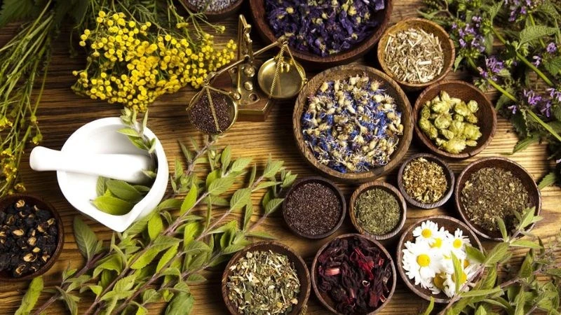 Trà hoa hòe có tác dụng gì? 10 công dụng của hoa hòe với helloo88