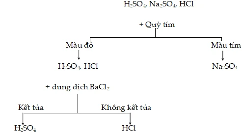 Phân loại BazÆ¡ thành hai nhóm chính trong nghiên cứu