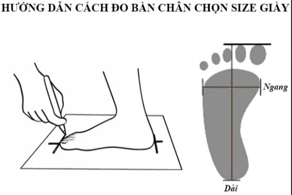 hello8862 com chọn size giầy dép 33hello88 - Order hàng Mỹ uy tín