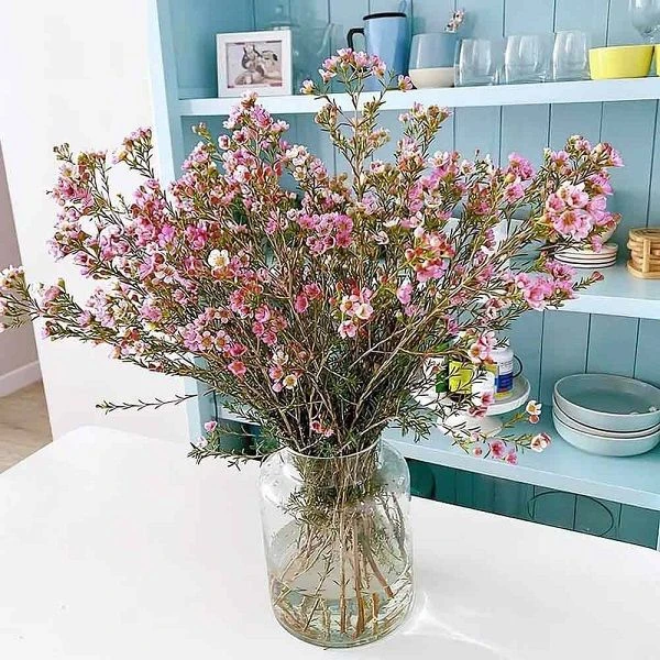 hello8862 com cách cắm hoa thanh liễu ngày Tết chi tiết, dễ hiểu