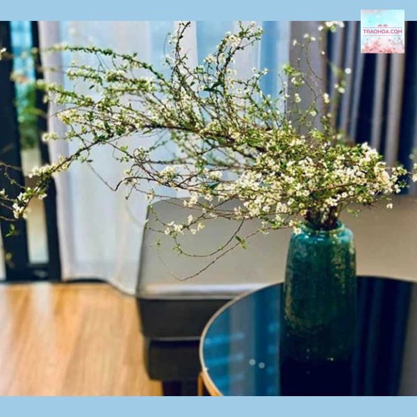 hello8862 com cách cắm hoa thanh liễu ngày Tết chi tiết, dễ hiểu