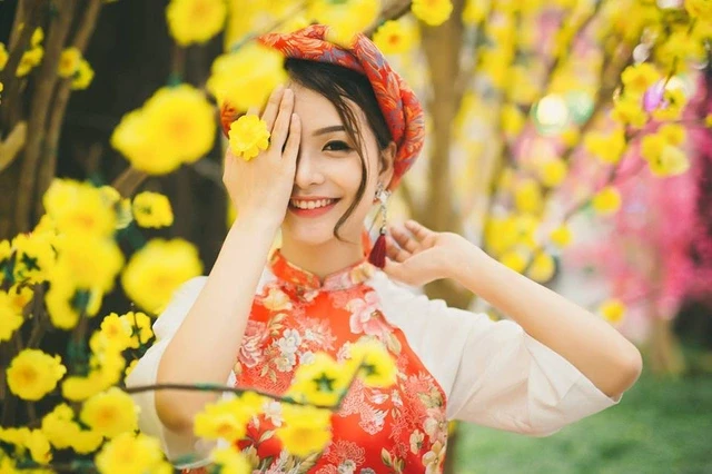 [Tết 2024] hello88.con Và Ý Nghĩa Của Cây Mai Ngày Tết