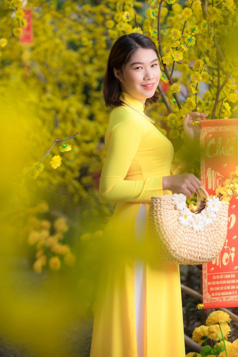 [Tết 2024] hello88.con Và Ý Nghĩa Của Cây Mai Ngày Tết