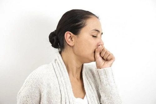 Bìm bìm: Công dụng và những bài thuốc chữa bệnh hiệu quả