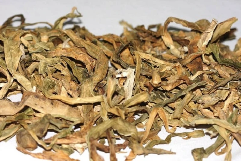 Cây náng hoa trắng - dược liệu đa lợi ích cho helloo88 con người