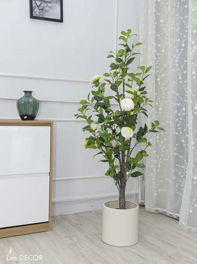 Khám Phá Cây Hoa Bạch Trà Trong Trang Trí Nội Thất