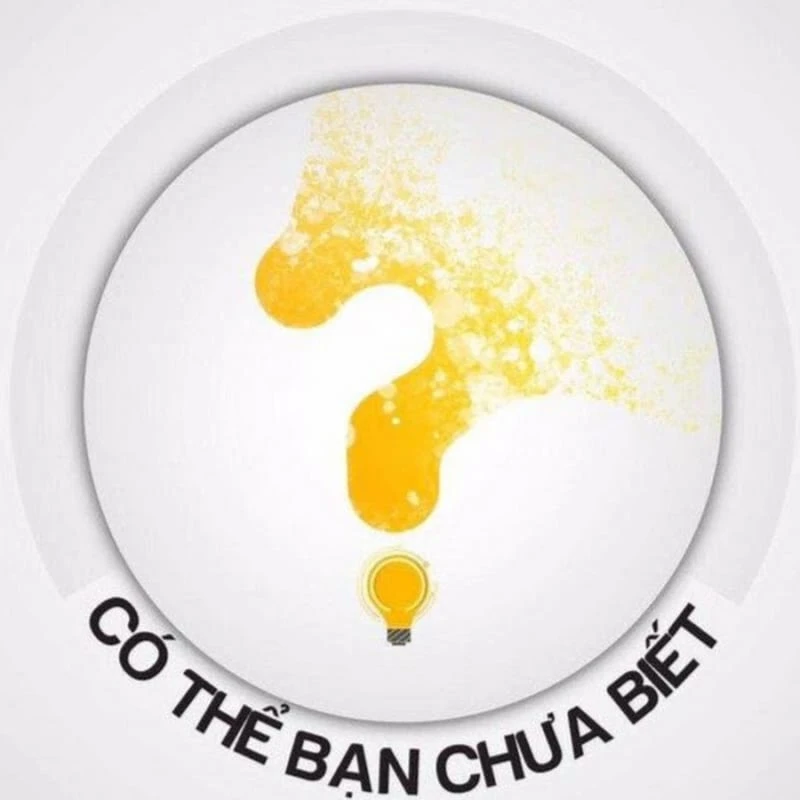Bạn có từng thắc mắc: “Giấy làm từ gì?”