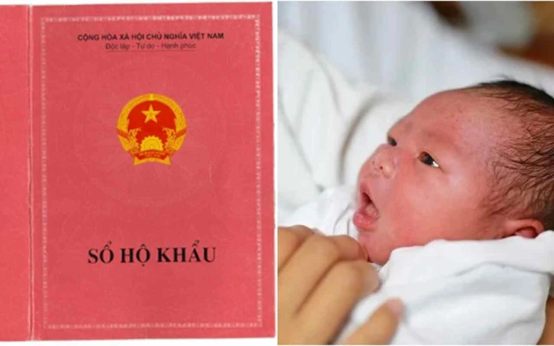 Nhập khẩu cho con cần giấy tờ gì? hello8862 com chi tiết từ A đến Z