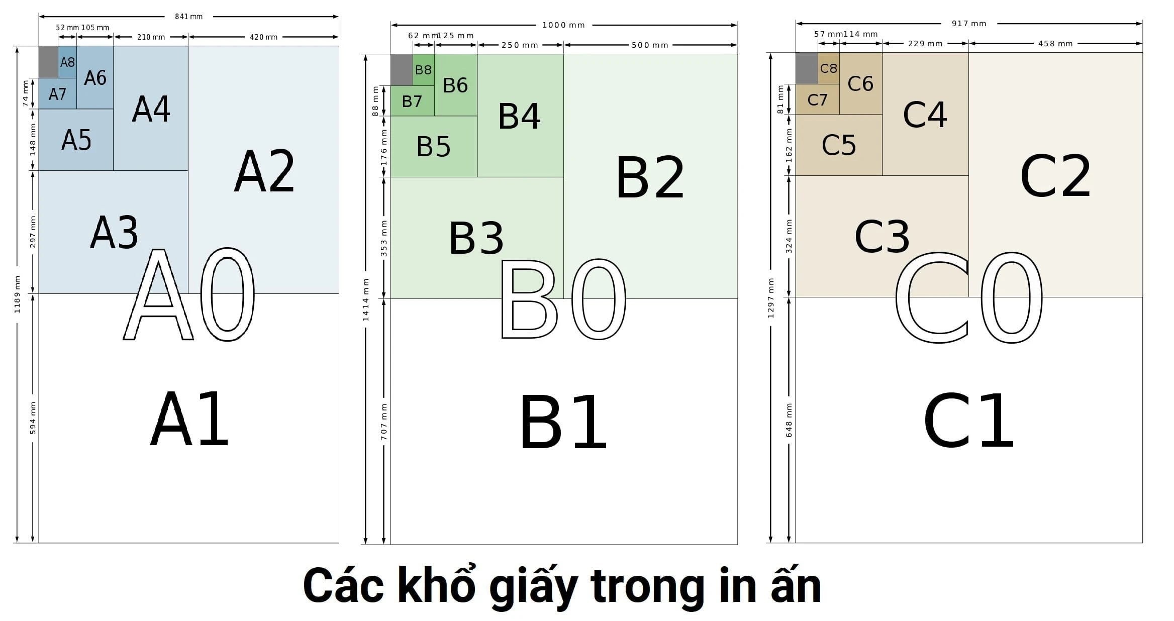 Hướng Dẫn Chọn Kích Thước Giấy Đúng Cho Đối Tượng Sử Dụng