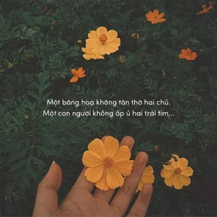 Stt hay về tình yêu không thể bỏ lỡ