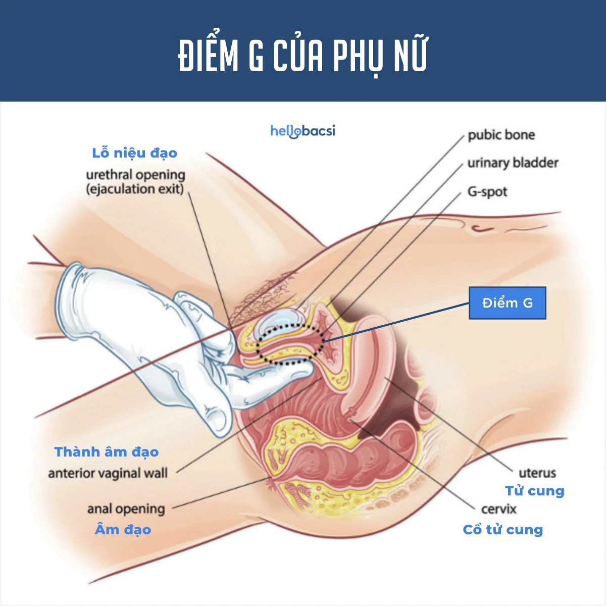 Khám Phá Tư Thế Yêu Đem Lại Niềm Vui Cho Cặp Đôi