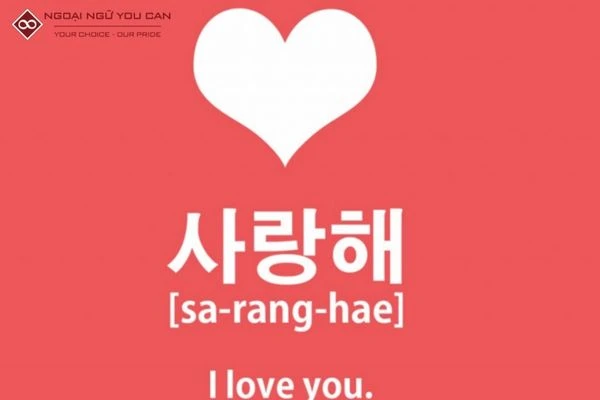 Khám Phá Cách Nói Anh Yêu Em Trong Tiếng Hàn