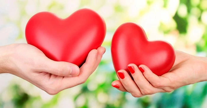 Soạn bài yêu và đồng cảm trong nghệ thuật hello8862 com