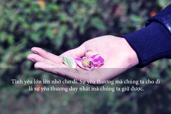 Những câu nói về tình yêu thương giữa người với người